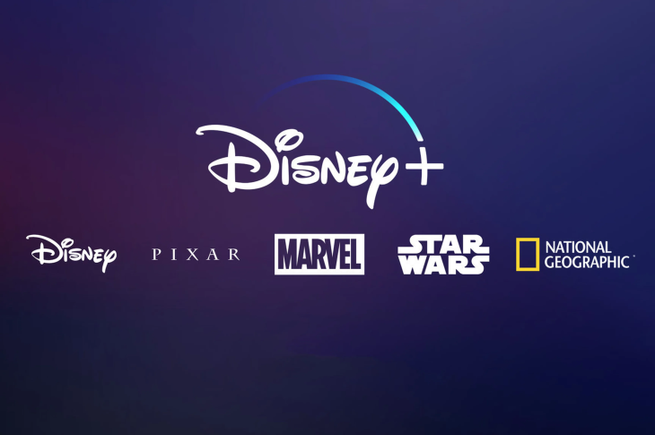 Disney anuncia el fin de las cuentas compartidas