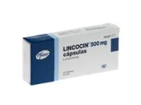 lincocin