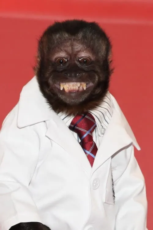 Actor Crystal the Monkey