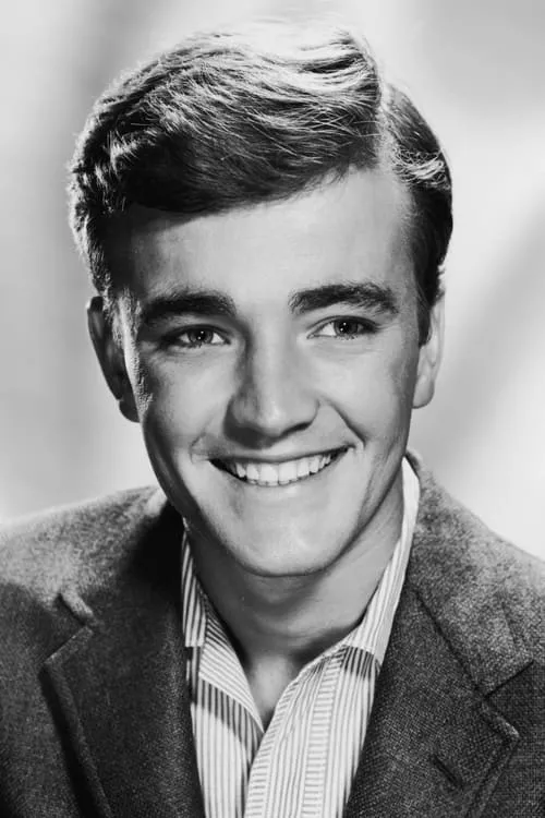 Actor Robert Walker Jr.