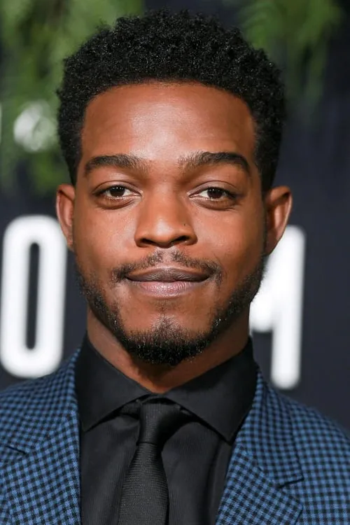 Denis Theriault ha trabajado con Stephan James en 1 ocasiones