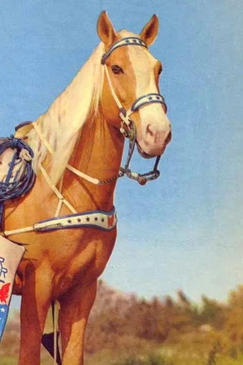 Roy Rogers ha trabajado con Trigger en 62 ocasiones