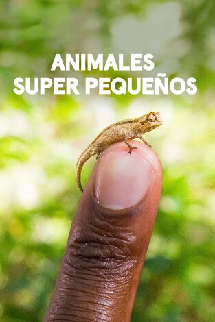 Animales súper pequeños portada