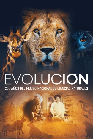 Evolución: 250 años del Museo Nacional de Ciencias Naturales en la programación de M+ Documentales HD (Documentales)