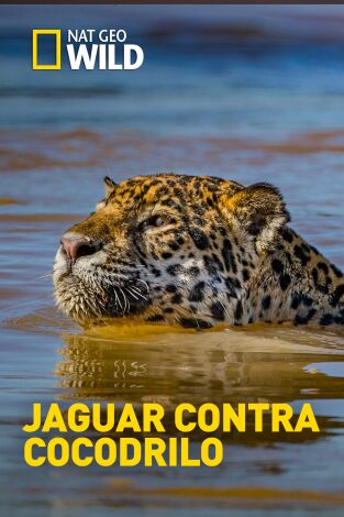 Jaguar contra cocodrilo en la programación de Nat Geo Wild HD (Documentales)