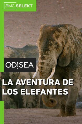 La aventura de los elefantes portada