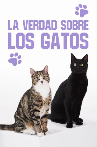 La verdad sobre los gatos portada