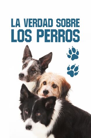 La verdad sobre los perros portada