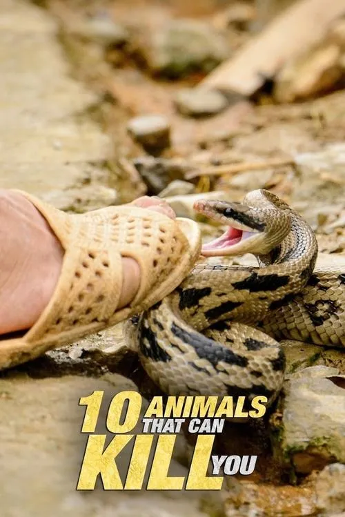 Póster de la película 10 Animals That Will Kill You