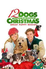 Poster de la película 12 Dogs of Christmas: Great Puppy Rescue - Películas hoy en TV