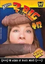 Poster de 2 Big 2 Be True 12