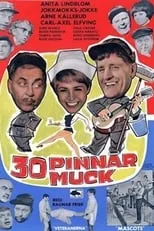 Póster de la película 30 pinnar muck