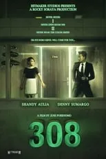 Poster de 308