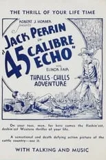 Póster de la película 45 Calibre Echo