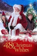 Poster de la película 48 deseos de Navidad - Películas hoy en TV