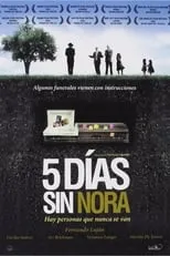 Póster de la película 5 días sin Nora