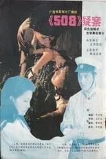 Película 508疑案