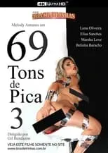 Película 69 Tons de Pica 3