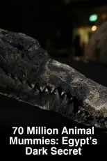 Película 70 Million Animal Mummies: Egypt's Dark Secret