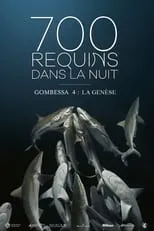 Película 700 requins dans la nuit  (Gombessa 4, la genèse)