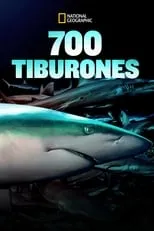 Póster de la película 700 Tiburones