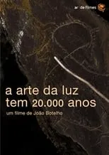 Póster de la película A Arte da Luz Tem 20.000 Anos