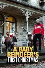 Portada de A Baby Reindeer's First Christmas