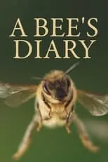 Keri Tombazian es Narrator (voice) en A Bee's Diary