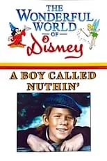 Póster de la película A Boy Called Nuthin’