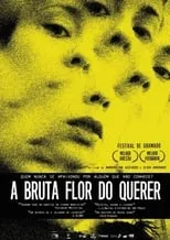 Danilo Grangheia interpreta a  en A Bruta Flor do Querer