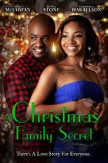 Poster de A Christmas Family Secret