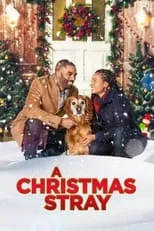 Poster de A Christmas Stray