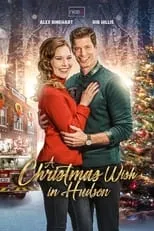 Poster de la película A Christmas Wish in Hudson - Películas hoy en TV