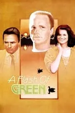 Póster de la película A Flash of Green