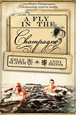 Portada de A Fly in the Champagne