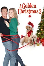 Poster de A Golden Christmas 3