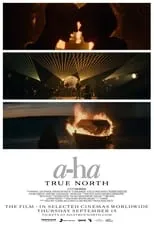 Paul Waaktaar-Savoy es Self en a-ha | True North