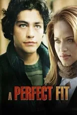 Poster de A Perfect Fit