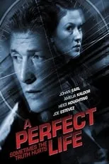 Poster de A Perfect Life