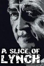 Póster de la película A Slice of Lynch