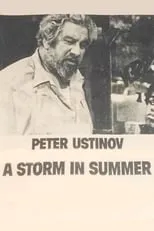 Póster de la película A Storm in Summer