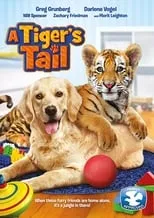 Póster de la película A Tiger's Tail