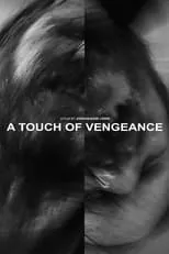 Póster de la película A Touch of Vengeance