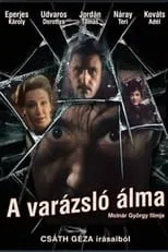 Póster de la película A varázsló álma