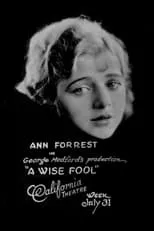 Póster de A Wise Fool