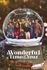 Poster de A Wonderful Time of the Year