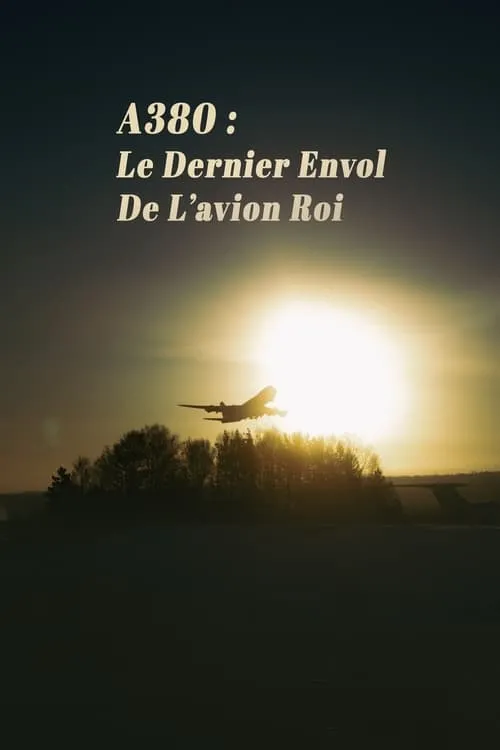 Póster de la película A380 : Le Dernier Envol de lavion roi