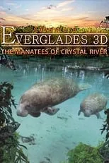 Colin Solman es Narrator (voice) en Abenteuer Everglades - Die Manatis des Crystal River