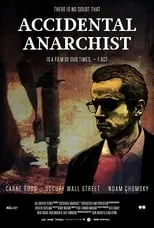 Póster de Accidental Anarchist