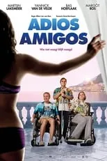 Póster de la película Adios amigos